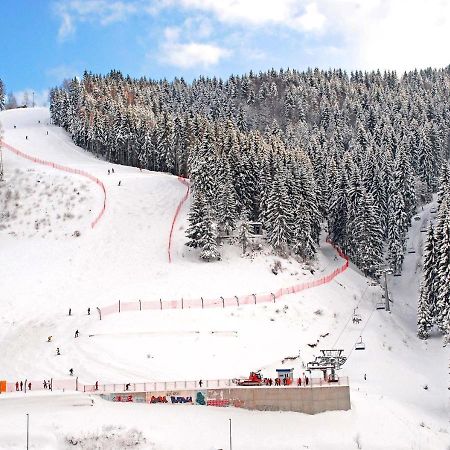 Zlatarske Brvnare Zlatar Chalets Nova Varoš Kültér fotó