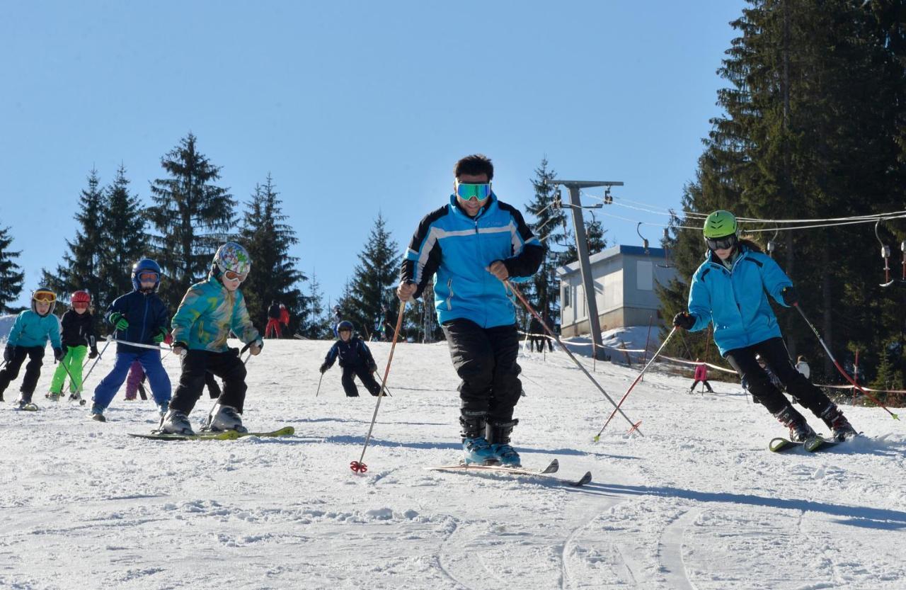 Zlatarske Brvnare Zlatar Chalets Nova Varoš Kültér fotó