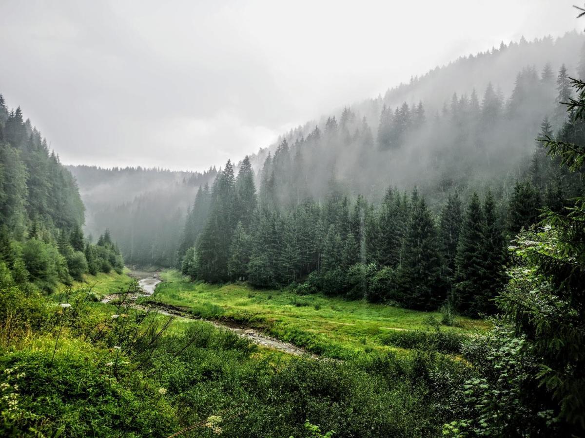 Zlatarske Brvnare Zlatar Chalets Nova Varoš Kültér fotó