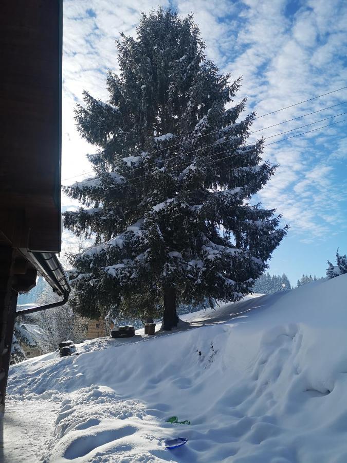 Zlatarske Brvnare Zlatar Chalets Nova Varoš Kültér fotó