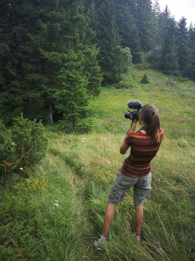 Zlatarske Brvnare Zlatar Chalets Nova Varoš Kültér fotó