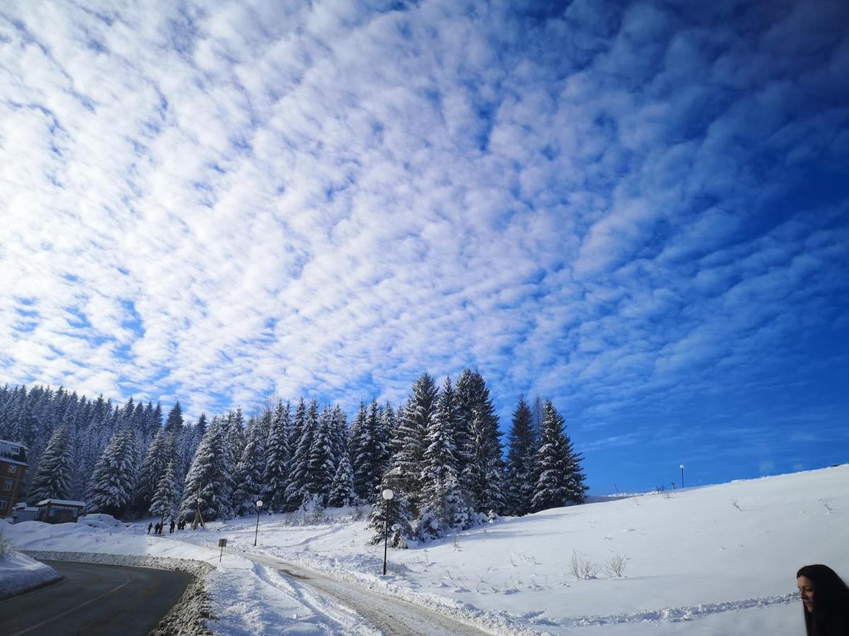 Zlatarske Brvnare Zlatar Chalets Nova Varoš Kültér fotó